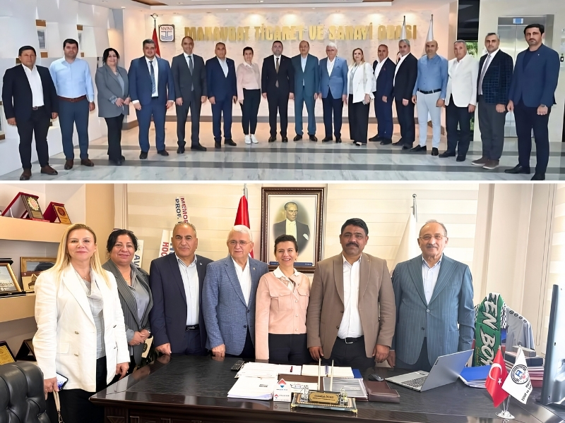 DEVA Partisi Heyetinden Manavgat’ta Yoğun Mesai: STK ve Odalar Ziyaret Edildi